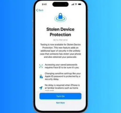 滁州苹果授权维修店分享被盗设备保护功能开启方法 