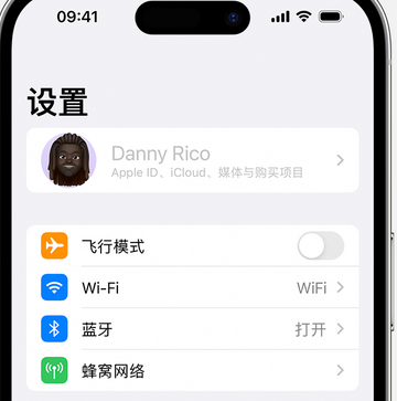 滁州appleID维修服务iPhone设置中Apple ID显示为灰色无法使用 