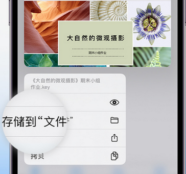 滁州apple维修中心分享iPhone文件应用中存储和找到下载文件