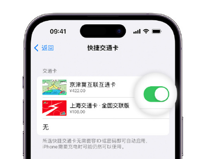 滁州apple维修点分享iPhone上更换Apple Pay快捷交通卡手绘卡面 