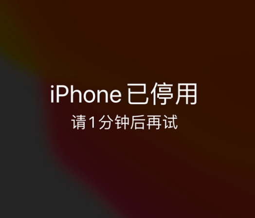 滁州苹果手机维修分享:iPhone 显示“不可用”或“已停用”怎么办？还能保留数据吗？ 