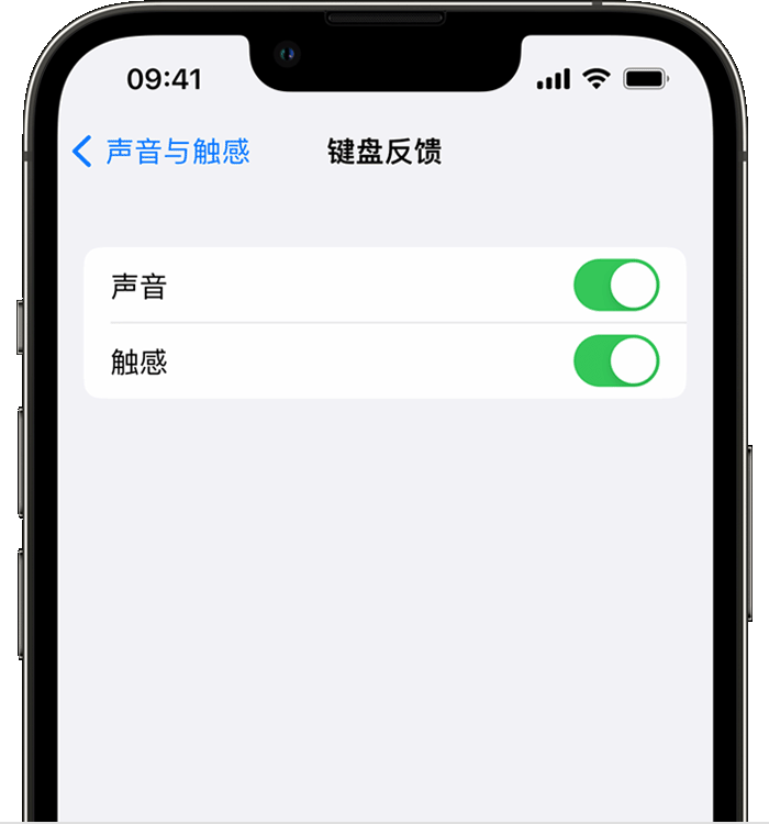 滁州苹果14维修店分享如何在 iPhone 14 机型中使用触感键盘 