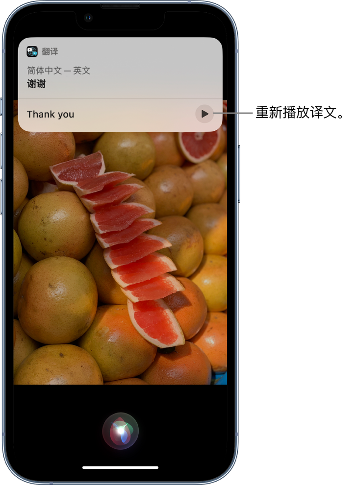 滁州苹果14维修分享 iPhone 14 机型中使用 Siri：了解 Siri 能帮你做什么 