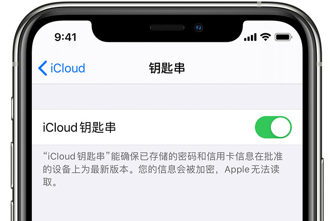 滁州苹果手机维修分享在 iPhone 上开启 iCloud 钥匙串之后会储存哪些信息 