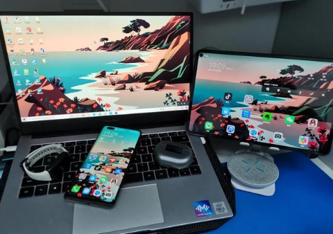 滁州苹果手机维修分享为什么iPad屏幕更大价格却比iPhone低 