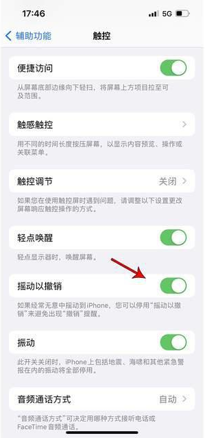 滁州苹果手机维修分享iPhone手机如何设置摇一摇删除文字 